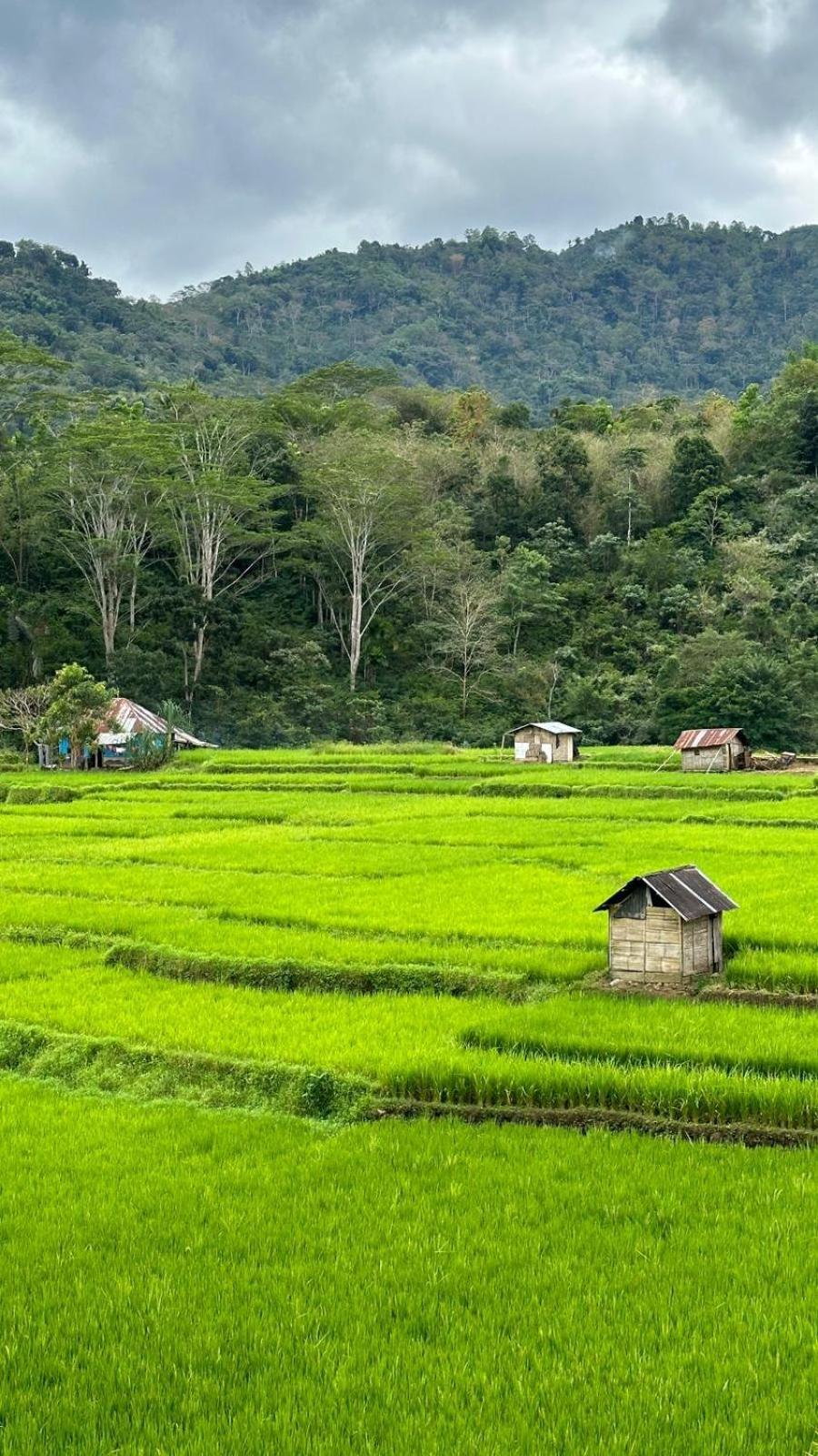 Petra Homestay Bangka Leda روتينج المظهر الخارجي الصورة