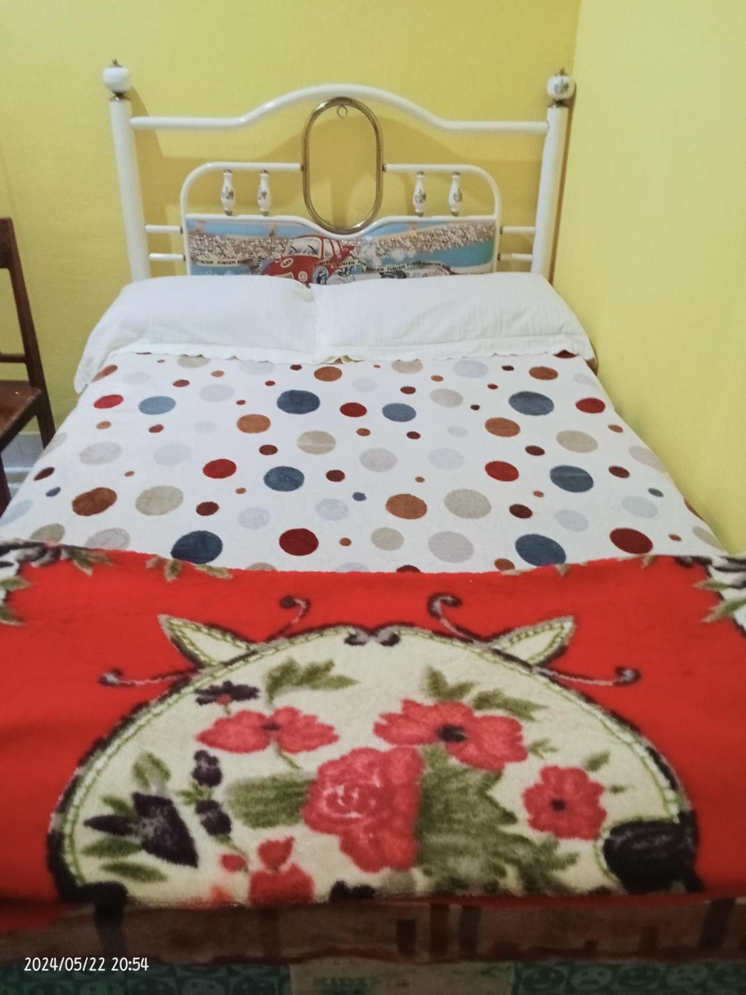 Petra Homestay Bangka Leda روتينج المظهر الخارجي الصورة
